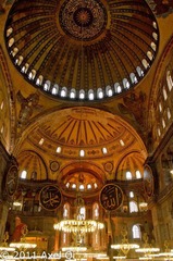 20111029-_AXL0851.jpg