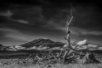 20130519-LIN_3782-Edit.jpg