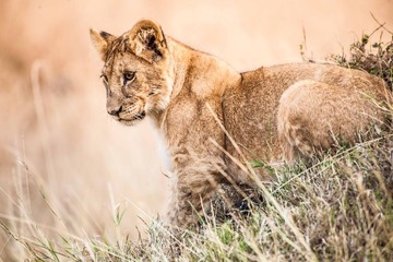 20130719-DSC_2169.jpg