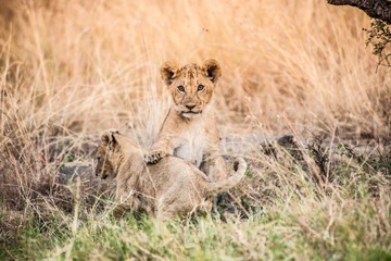 20130719-DSC_2179.jpg