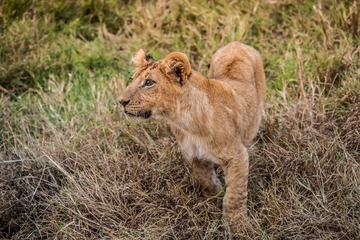 20130719-DSC_2194.jpg