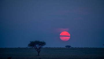 20130719-DSC_2206.jpg