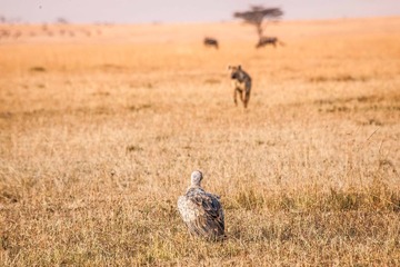 20130720-DSC_2217.jpg