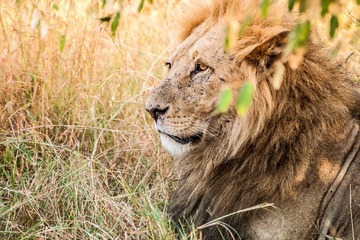 20130720-DSC_2234.jpg