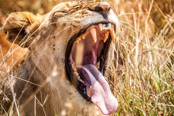 20130720-DSC_2302.jpg