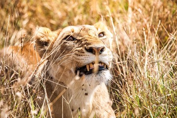 20130720-DSC_2305.jpg