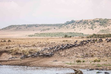 20130720-DSC_2363.jpg