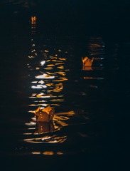 106619