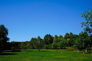 _DSC1362