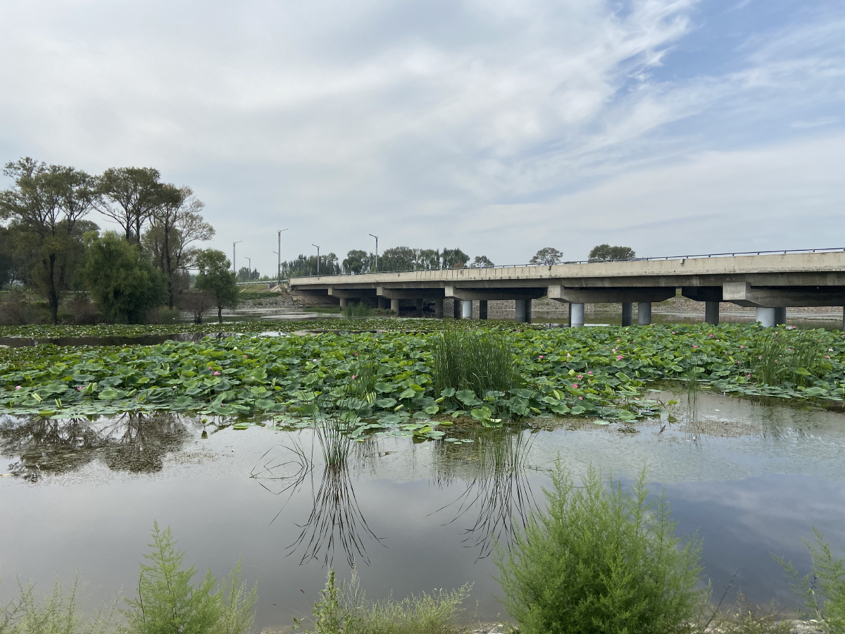 山西阳高县美景