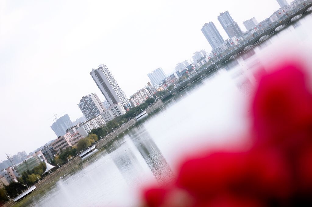 爱我家乡<br />
走在家乡的桥上，熟悉而又陌生，高楼林立，一派繁华的景象，没有了小时候的味道，我依然爱她，因为这里有着我童年的梦