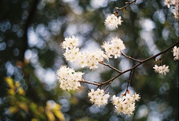 CNV000028.JPG