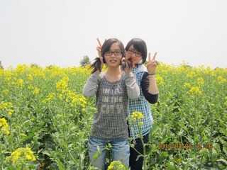 油菜花 018.JPG