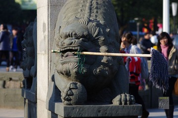 IMGP0120.jpg