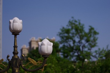 IMGP8710.jpg