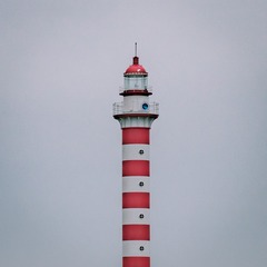 279015
