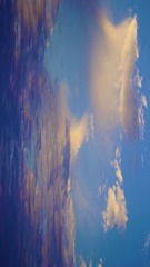 1F96A389-15AB-475D-82B3-CFFF1523C89C/L0/001