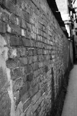 IMG_5419.JPG