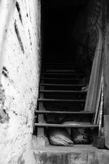 IMG_5453.JPG