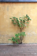 IMG_6903.JPG