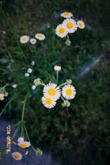 5E973881-BD64-4DF7-B99F-E337A31FB370/L0/001