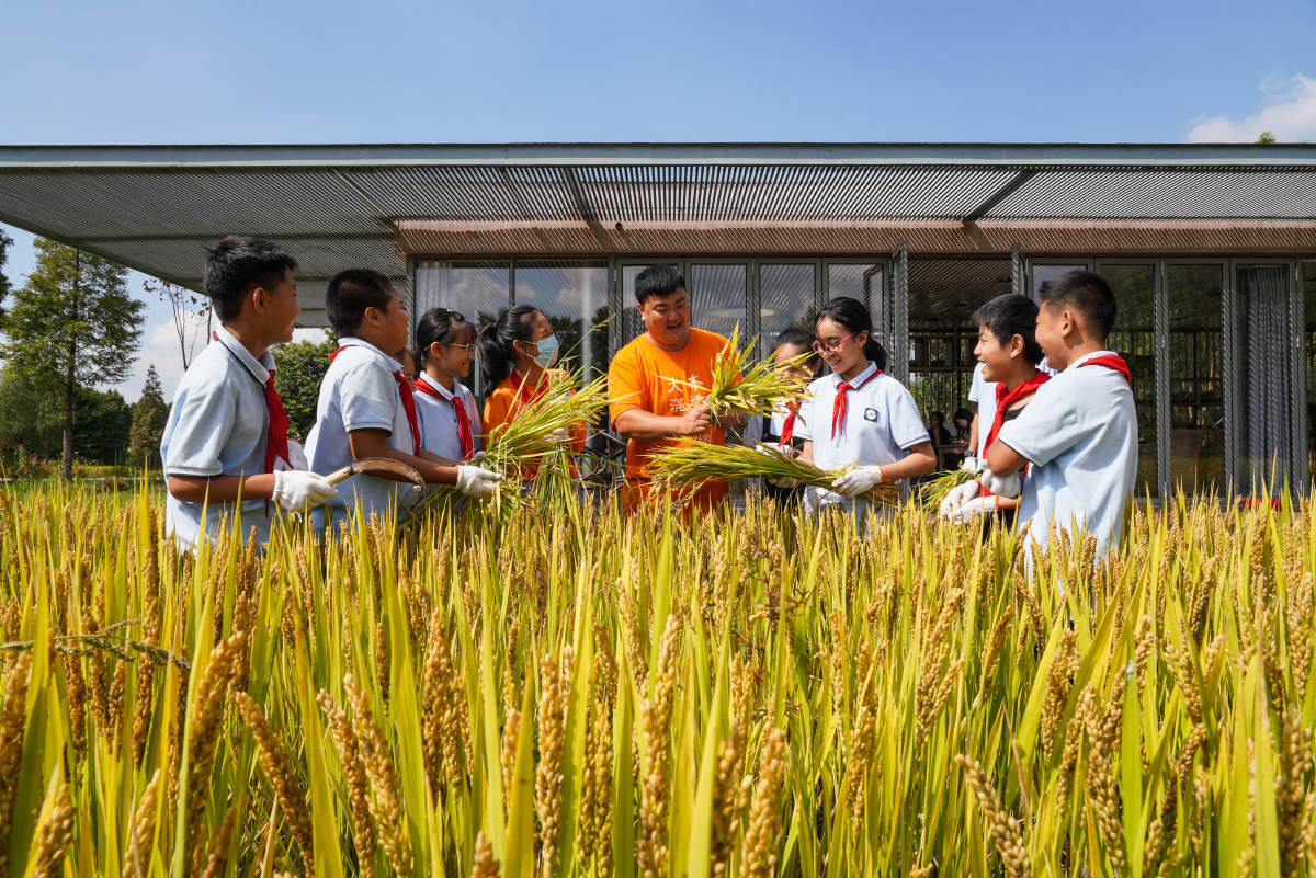 小康社会幸福生活