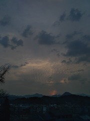 1201124