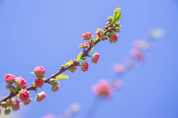 F00853EB-CE5C-412F-8938-734F59F8E9A6/L0/001