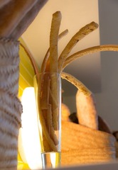 IMG_9611.jpg