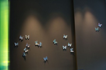 IMG_9617.jpg