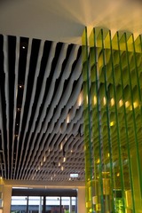 IMG_9622.jpg