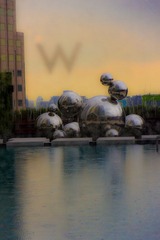 IMG_9631.jpg