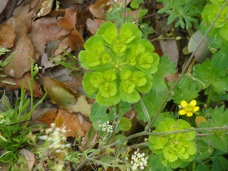 DSC01310.JPG