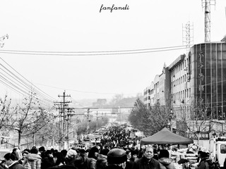 P1150699-2-1.jpg