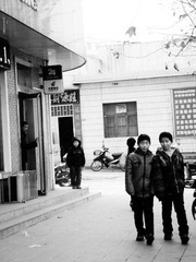 P1150708-1.jpg