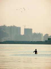 P1170064-1.jpg