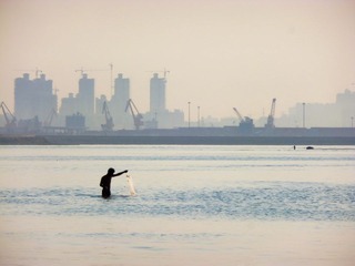 P1170041-1.jpg