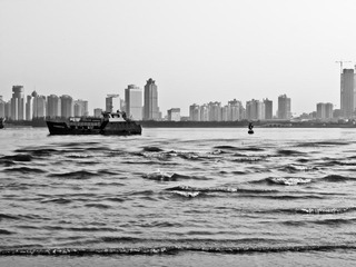 P1170011-1.jpg