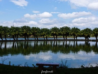 P1180501-2.jpg