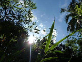 P1180531-1.jpg