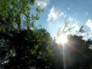 P1180530-1.jpg