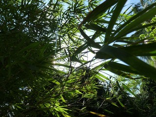 P1180529-1.jpg