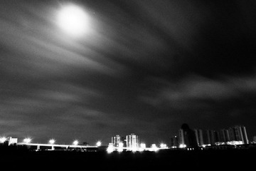 P1190546-2.jpg
