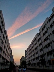 P1200588-2.jpg