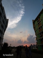P1210782-2.jpg
