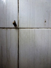 P1180724-2.jpg