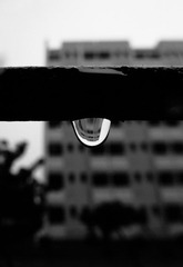 P1050951-1.jpg