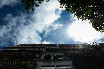 P1250073-2.jpg