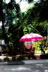 P1240774-2.jpg