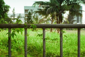 P1230581-2.jpg